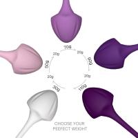 Ağırlıklı Kegel Egzersiz Seti Vajina Geliştirici Vajinal Toplar